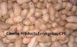 Shelled Peanuts, Packaging Size : 25-50kg