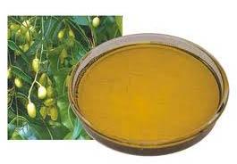 Neem oil, Scent : Earthy, Nutty