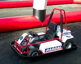 Coin Operated Electric Battery