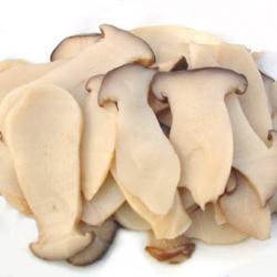 Dried Milky Mushroom