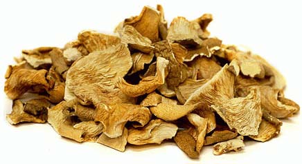 Dried Oyster Mushroom, Quality Available : A Grade