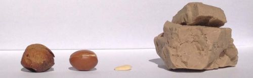 Moisturizing Argan Oil Cake - Bio Organic