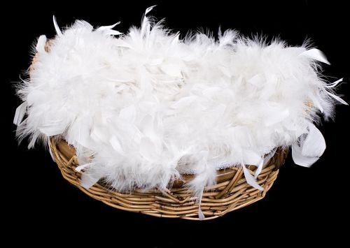 Washed Duck Feathers