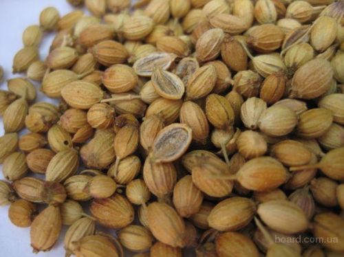 Coriander Form : Seed