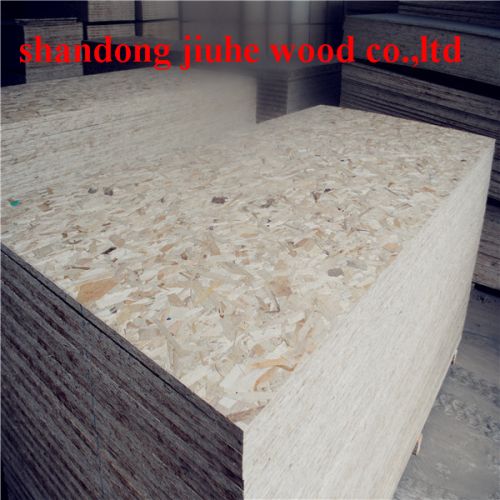 Poplar logs 100% Oriented Strand Board 15mm, Thickness : 8mm-18mm