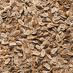 Dill Seeds Specialities : Good Quality, Good For Health