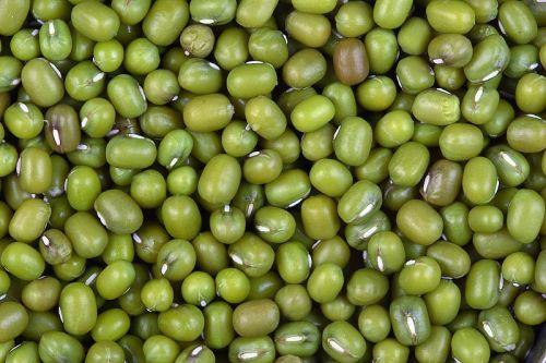 Natural Green Mung Beans, Packaging Size : 50Kg