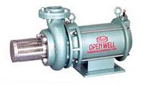 Vertical Open Well Submersible Pump