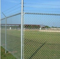 Galvanized Chain Link Fence, Brand Name : Aining