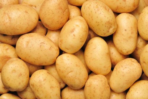 Fresh potato, Packaging Size : 5-25kg