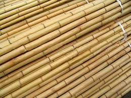 Bamboo Sticks, For Temples, Religious, Home, Size : 15-20inch