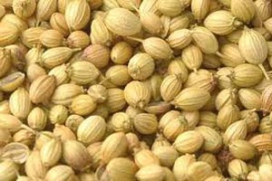 Organic Coriander Seeds