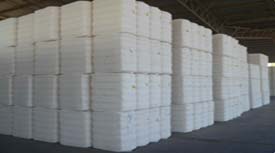 Cotton Bales, For Filling Material, Yarn Making, Purity : 99% Purity