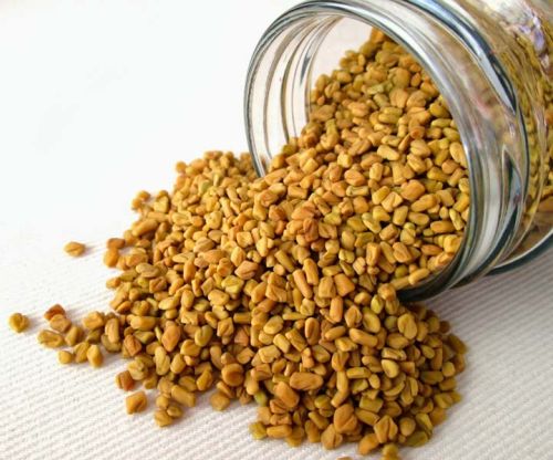 Organic Fenugreek Seeds