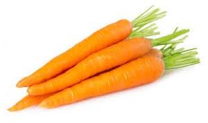 Fresh Carrot