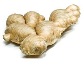 Fresh ginger, Storage Condition :Fresh