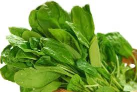 Fresh Spinach