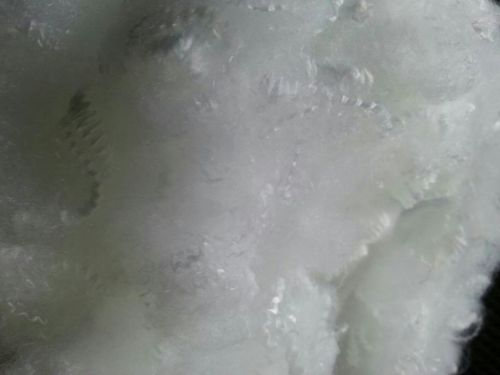 Polyester staple fibre, Packaging Type : raw white