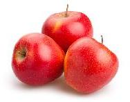 Fresh Red Apple