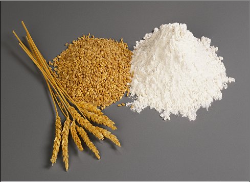 Wheat Flour - Premium Class