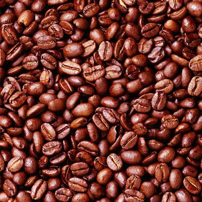 Robusta coffee beans