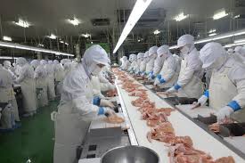 Halal Frozen Chicken Whole Leg, Packaging Type : poly bags of 5kg