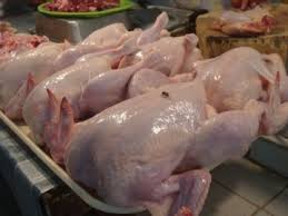 Halal Frozen Whole Chicken, Packaging Type : poly bags of 5kg