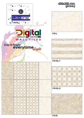 Raykas Ceramic Digital Wall Tiles 450x300 Mm