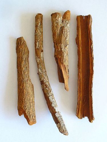 Dried Voacanga Seeds, Pausinystalia Yohimbe Bark
