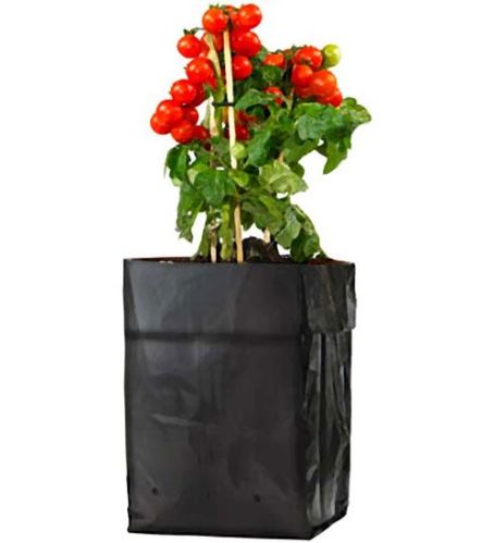 Plant Grow Bags