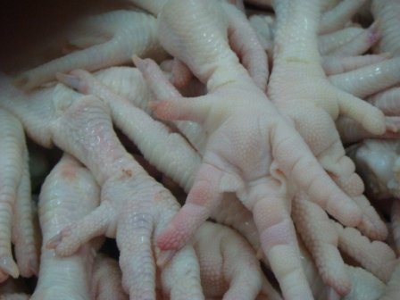 Frozen chicken feet, Brand Name : RHP