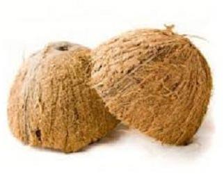 Coconut shell