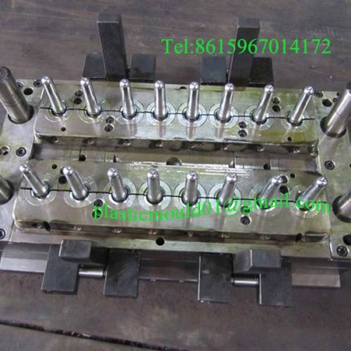 PET Preform Mould