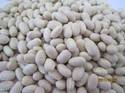 White kidney beans, Shelf Life : 2-3 Years