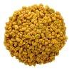 Fenugreek Seed - Methi