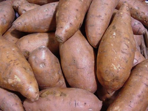 Sweet Potato