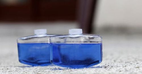 Toilet Cleaner Liquid, Packaging Type : Plastic Bottle