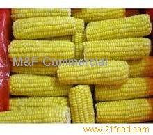 IQF Sweet Corn