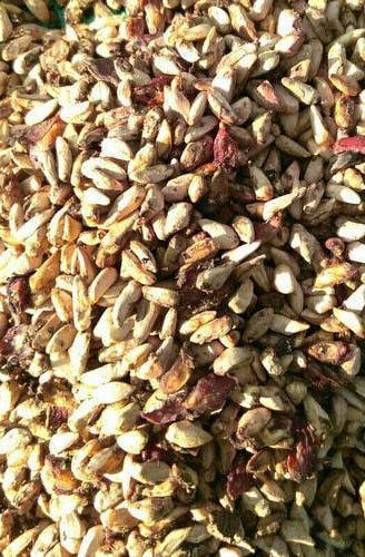 Dried Pomegranate Seeds