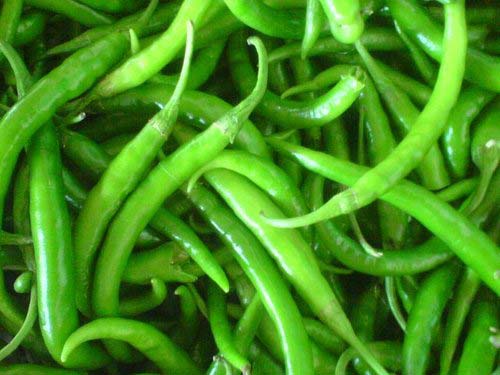 Fresh Green Chilli