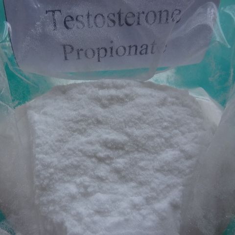Testosterone Propionate Steroid