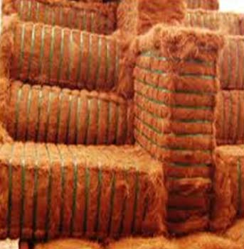 Coir Fiber