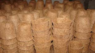 COIR POTS