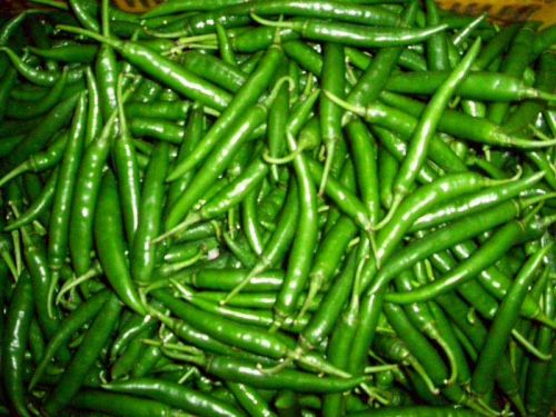 Fresh green chilli, Quality Available : A Grade