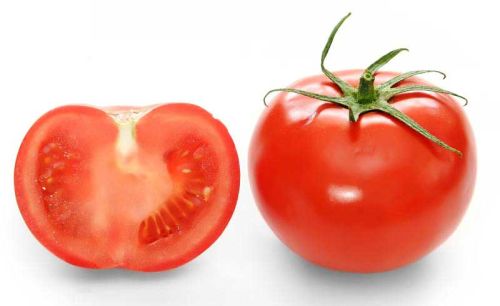 Fresh Tomato