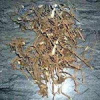 Natural Taggri Root Dried, Packaging Type : Plastic Packets