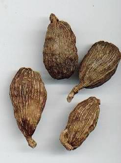 Black cardamom, Storage : Dry Place