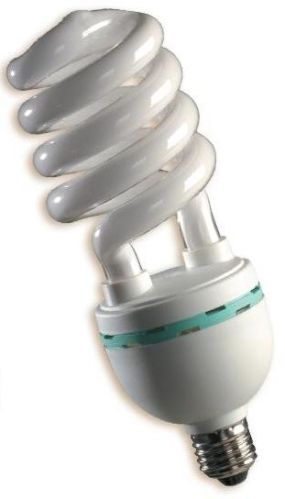 CFL Bulbs