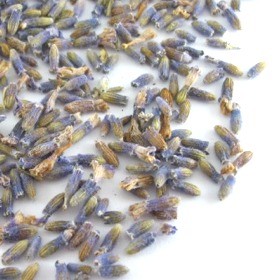 Natural Dried Lavender Flower, For Decoration, Packaging Type : PP Bag