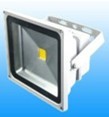 LED Floodlight, Packaging Type : White